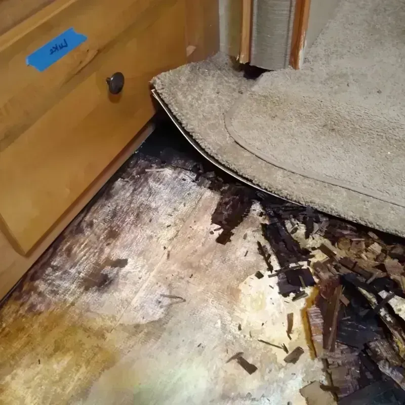 Best Wood Floor Water Damage Service in Cutler, FL